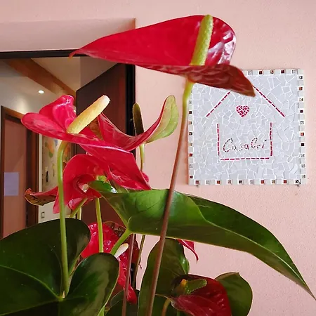 Casacri Apartamento