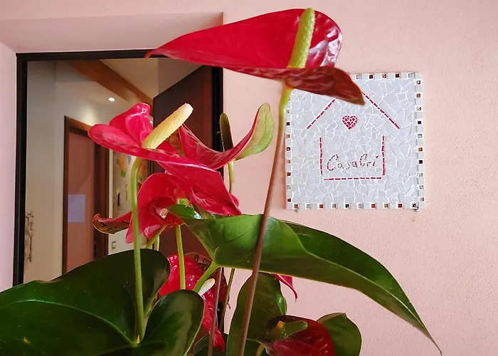 Casacri Apartment
